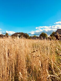 Мною прочитано…