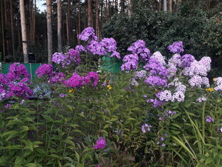 ТОЛЬКО ТЕКСТЫ