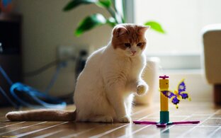 Полезные советы