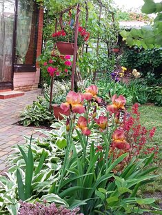 Сады моих подруг