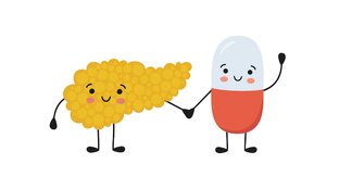 Поджелудочная железа 