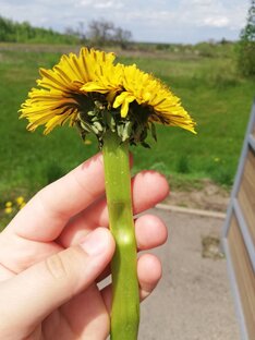 Материнские заметки 