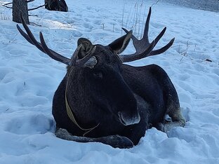 Наедине с природой