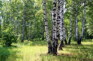 Путешествия по России