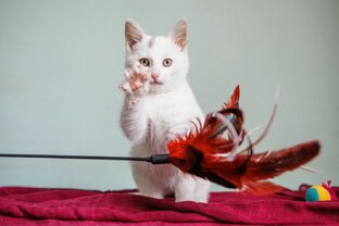 Интересно и важно