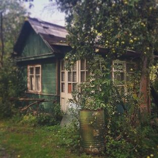 Деревенский дневник