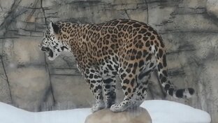 Минский зоопарк