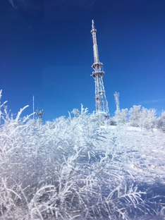 Моя работа 