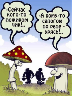 Мухомор. Разбор механизмов действия простым языком, с чем сочетать