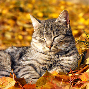 Подборка кратких статей (short posts)