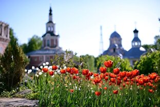 Рассказы, основанные на реальных событиях