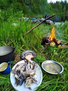 РЫБАЛКА НА ХАРИУСА. 