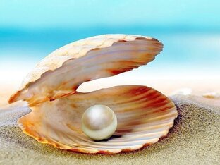 Мудрость дня ✨