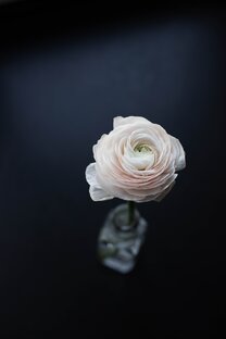 Фотография на подоконнике