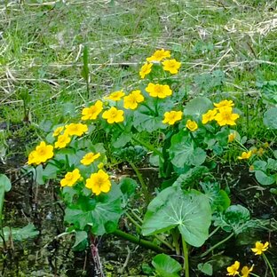 Судьба или выбор.