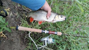 Рыбалка по открытой воде