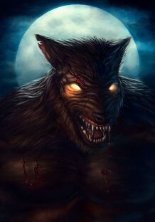 "Волчья шкура " 2 книга