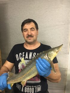 УЗВ. Выращивание осетра.