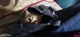 Все для смеха