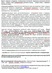 Проектная Команда технологического кластера цнти янтаря 