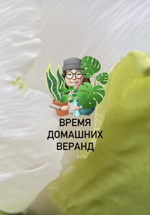 Завтраки и чаепития