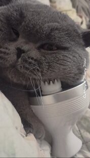 Массажёры для котиков 