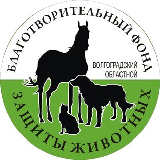 История приюта для собак Дино