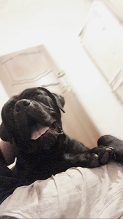 Моя любовь❤️