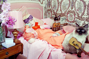 Стильные советы