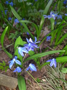 Природа, мать наша!