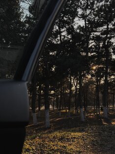 Красота вокруг 