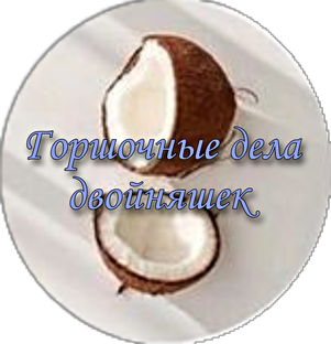 Горшочные дела двойняшек и не только