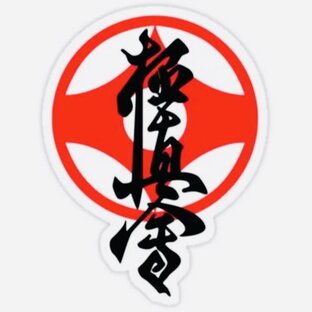 Каратэ Киокушинкай🥋