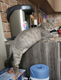 В ожидание обеда