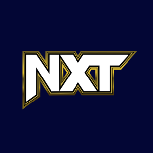 "Рестлинг по-русски" NXT