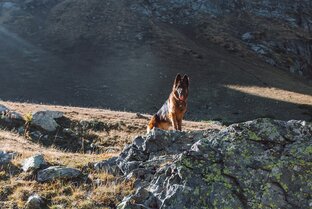 Путешествия по Кавказу