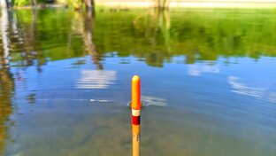 Поплавочная ловля 