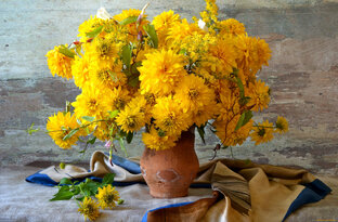 Рубрика "Что почитать"