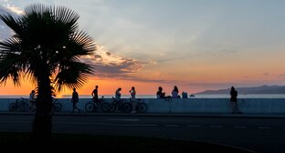 Отдых в Сочи