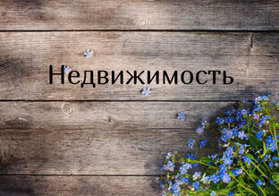 Недвижимость