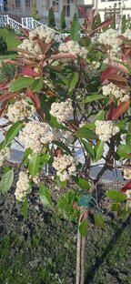 Видели видео 