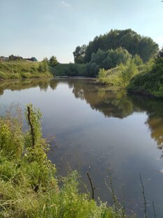"Медвежий угол".Азовское  море, отдых в Турции