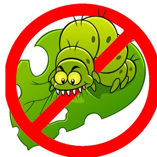 Обработки сада от вредителей и болезней