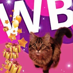 Распаковка с Wildberries.