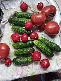 Неправильное питание 