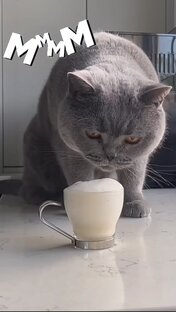 #Капучиномания