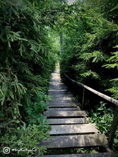 Размышления