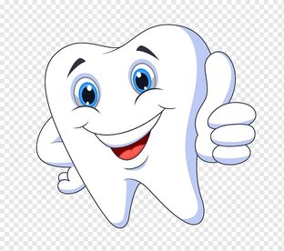 Общие вопросы о стоматологии.