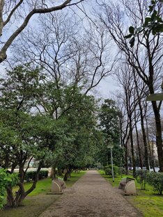 Ежедневник 💫