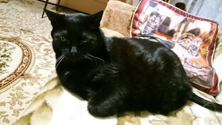 Истории про бывшего